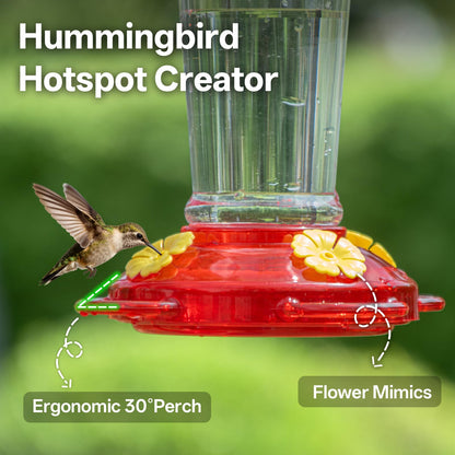 🐦&nbsp;Hummingbird Feeders for Outdoor Hanging