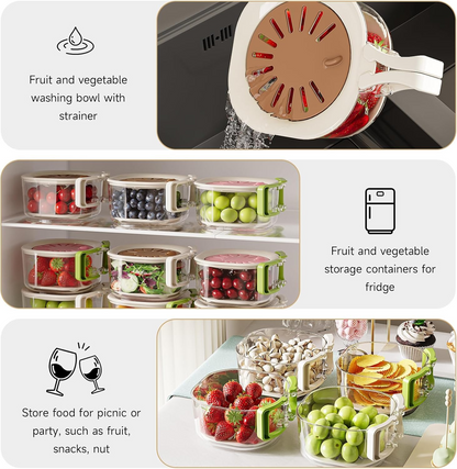 🥗 50% OFF 2-in-1 Wash & Store Container – Fresh Produce Storage Made Easy