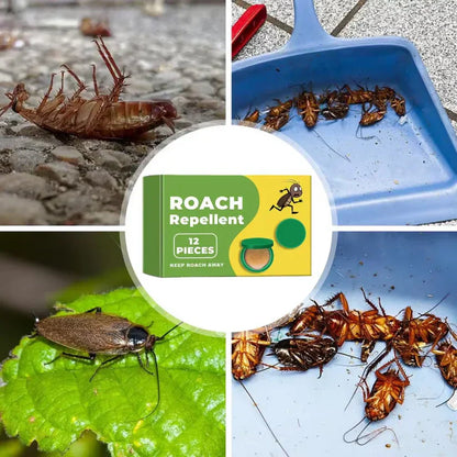 Plant-Powered Roach Repellent (Pet & Kid Friendly)