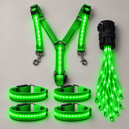 360° Illuminated Horse Harness & Glow Kit 🐎✨