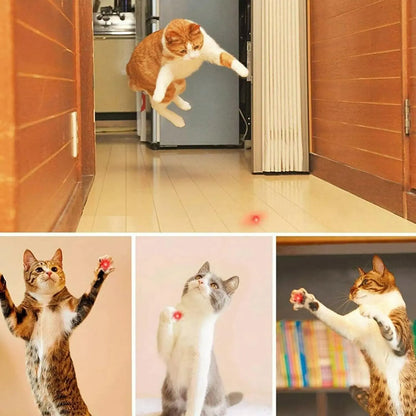 Rechargeable Green Laser Pointer/ Line Light Flashlight Long Distance Range for TV/LED/LCD Screens  Flashlights Presentation, Laser Pointer Cat Toy，Office / Outdoors / Astronomic / Construction SummerVibes petlovers