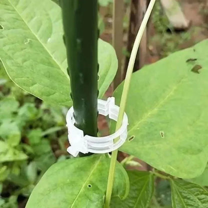 Reusable Plant Support Clips (100 clips)