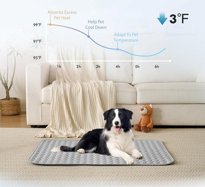 🔥🔥Hot Sale 🧊Dog Cooling Mat (4x more effective)
