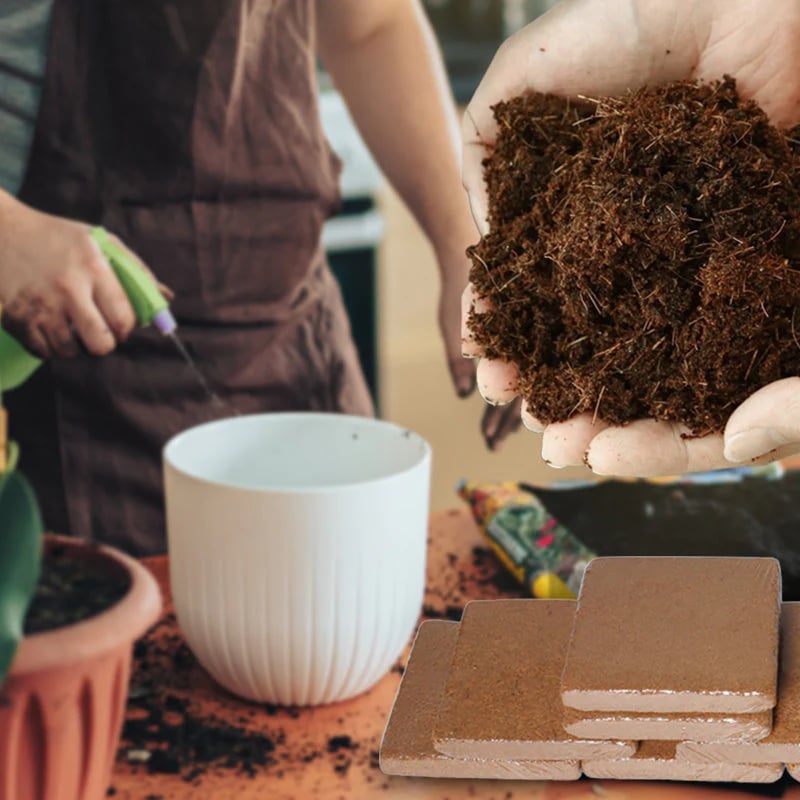 🔥LAST DAY 49% OFF🌱Premium Organic Coconut Coir Bricks for Plants