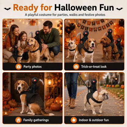 🎃👻HALLOWEEN FAVORITE🐾🐶Dog Halloween Grim Reaper Rider Costume with Adjustable Magic Tape👻