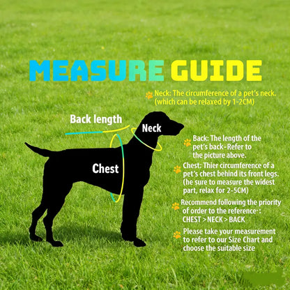 🐕⚽FIFA World Cup Official 2026 Licensed Luxury Pet Clothes