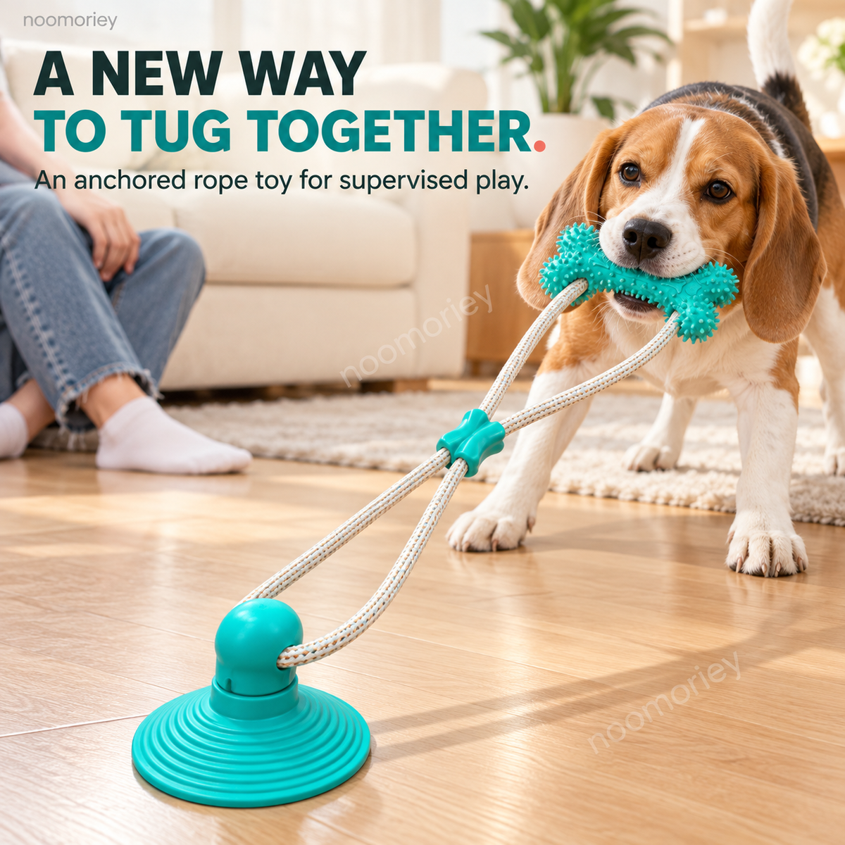 Interactive Suction Cup Dog Tug Toy – Braided Rope Chew Toy with Textured Bite Grip for Indoor Play