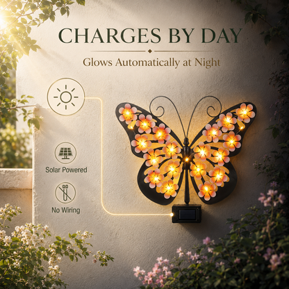 Solar LED Butterfly Garden Wall Decor 🦋
