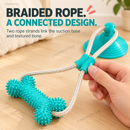 Interactive Suction Cup Dog Tug Toy – Braided Rope Chew Toy with Textured Bite Grip for Indoor Play