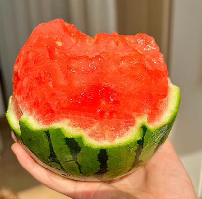 🍉Last Day Sale - 60% OFF 🌱 Lazy Man's Watermelon Seeds /non-genetically modified