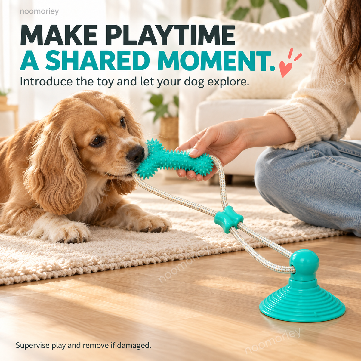Interactive Suction Cup Dog Tug Toy – Braided Rope Chew Toy with Textured Bite Grip for Indoor Play
