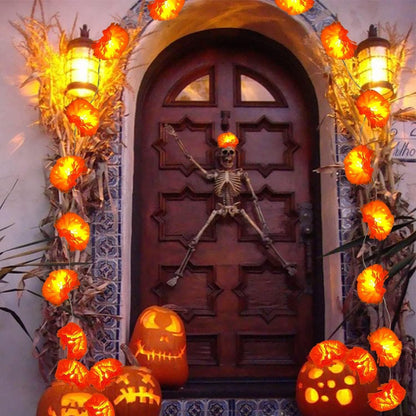 🎃Halloween Early Sale🎃🌼 Mexican Marigold Flower String Lights