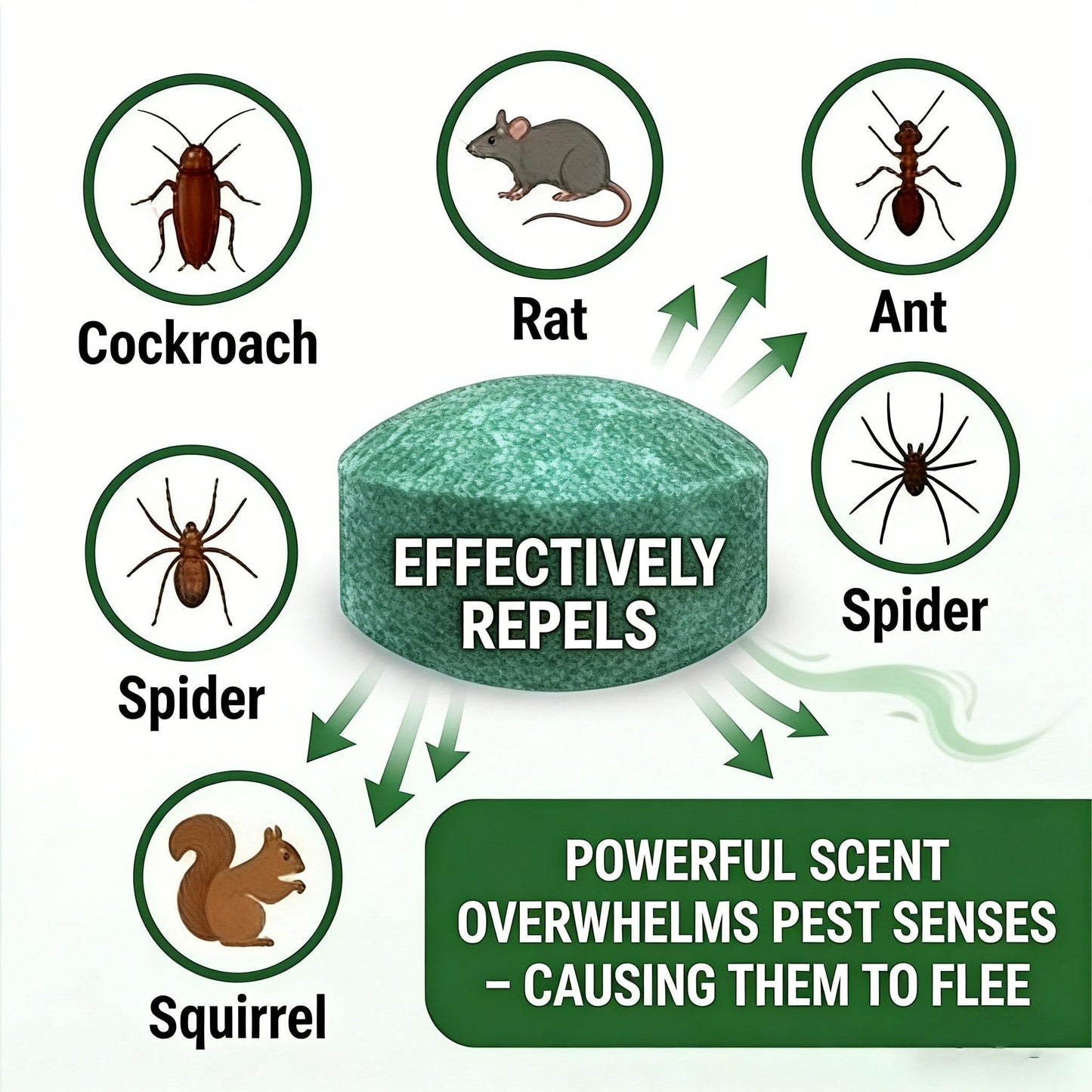 ⏳Father's Day Limited Edition 50% OFF 🟢 Natural Peppermint Rodent Repellent Tablets – 12 Pack