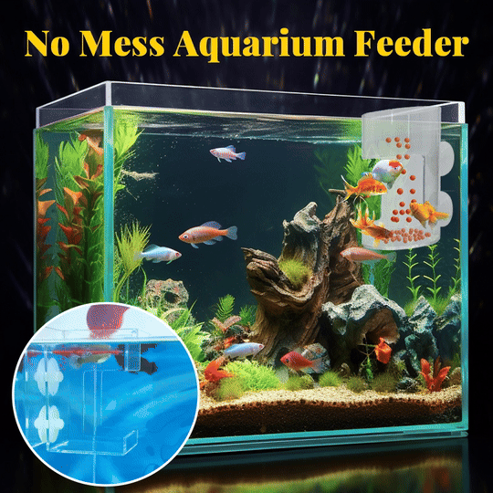 ✨Aquarium Feeding Ring and Tray