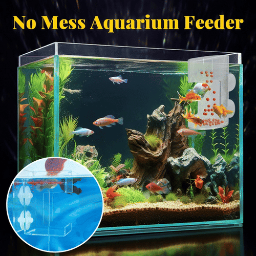 ✨Aquarium Feeding Ring and Tray