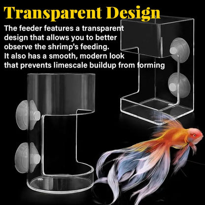 ✨Aquarium Feeding Ring and Tray