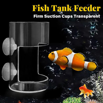 ✨Aquarium Feeding Ring and Tray