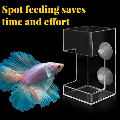 ✨Aquarium Feeding Ring and Tray